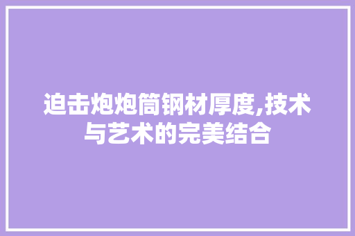 迫击炮炮筒钢材厚度,技术与艺术的完美结合