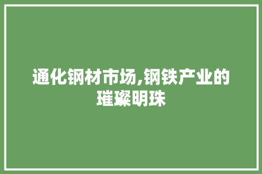 通化钢材市场,钢铁产业的璀璨明珠