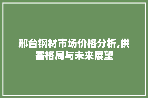 邢台钢材市场价格分析,供需格局与未来展望