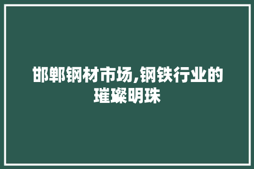 邯郸钢材市场,钢铁行业的璀璨明珠
