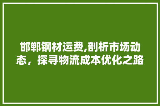 邯郸钢材运费,剖析市场动态，探寻物流成本优化之路