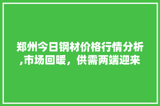 郑州今日钢材价格行情分析,市场回暖，供需两端迎来新机遇