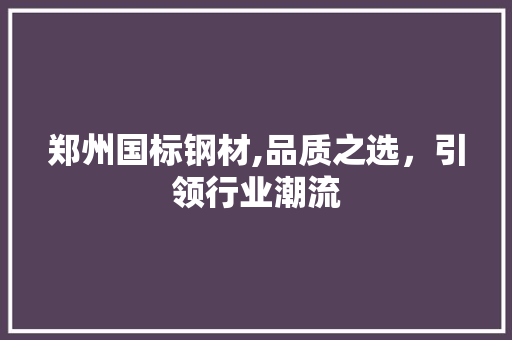 郑州国标钢材,品质之选，引领行业潮流