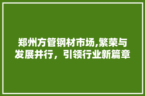 郑州方管钢材市场,繁荣与发展并行，引领行业新篇章