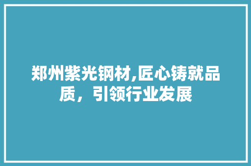 郑州紫光钢材,匠心铸就品质，引领行业发展