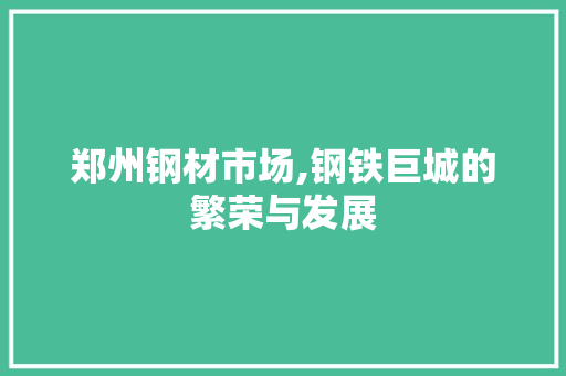 郑州钢材市场,钢铁巨城的繁荣与发展