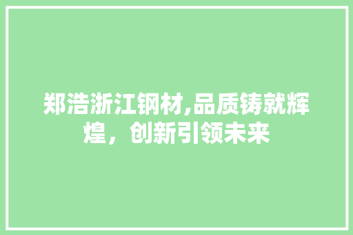 郑浩浙江钢材,品质铸就辉煌，创新引领未来