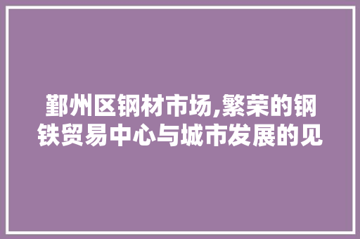 鄞州区钢材市场,繁荣的钢铁贸易中心与城市发展的见证者