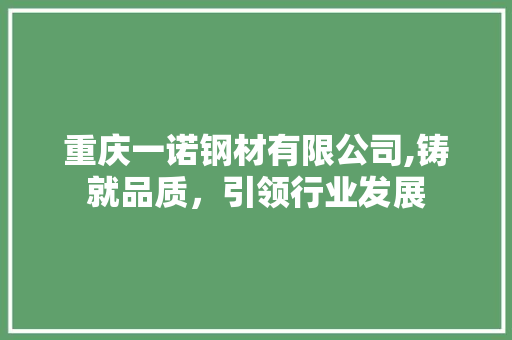 重庆一诺钢材有限公司,铸就品质，引领行业发展
