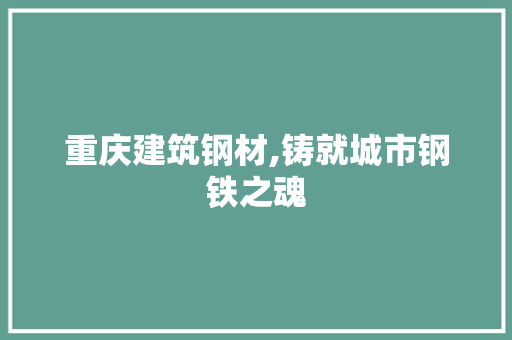 重庆建筑钢材,铸就城市钢铁之魂