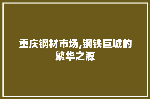重庆钢材市场,钢铁巨城的繁华之源