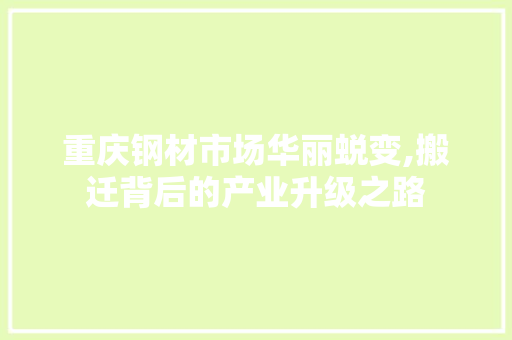 重庆钢材市场华丽蜕变,搬迁背后的产业升级之路