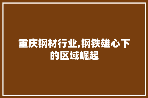 重庆钢材行业,钢铁雄心下的区域崛起