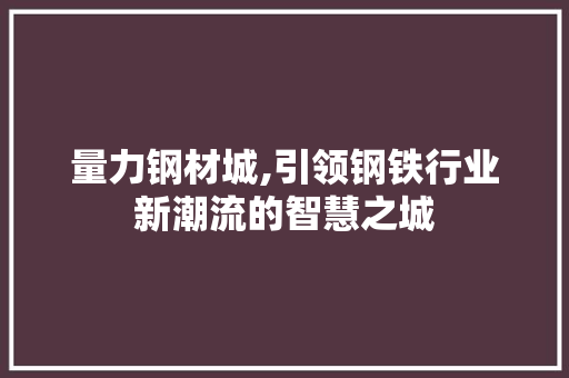 量力钢材城,引领钢铁行业新潮流的智慧之城