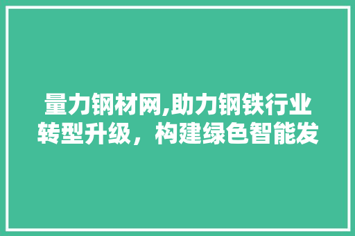 量力钢材网,助力钢铁行业转型升级，构建绿色智能发展新格局