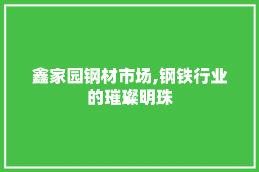 鑫家园钢材市场,钢铁行业的璀璨明珠
