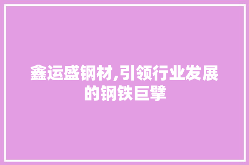 鑫运盛钢材,引领行业发展的钢铁巨擘