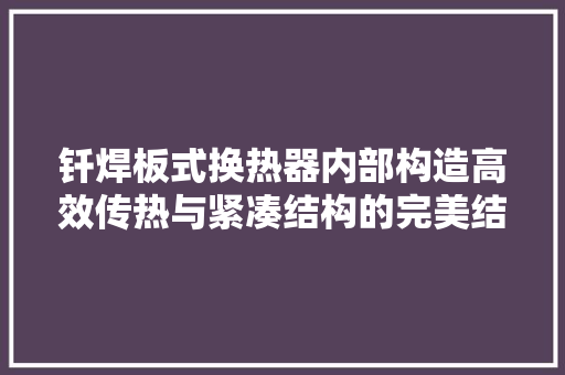 钎焊板式换热器内部构造高效传热与紧凑结构的完美结合