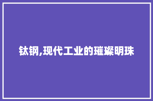 钛钢,现代工业的璀璨明珠