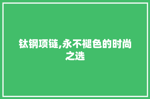 钛钢项链,永不褪色的时尚之选