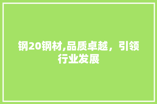 钢20钢材,品质卓越，引领行业发展