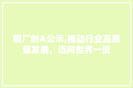 钢厂创A公示,推动行业高质量发展，迈向世界一流