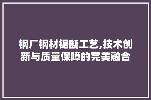 钢厂钢材锯断工艺,技术创新与质量保障的完美融合