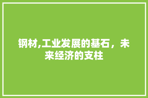 钢材,工业发展的基石，未来经济的支柱