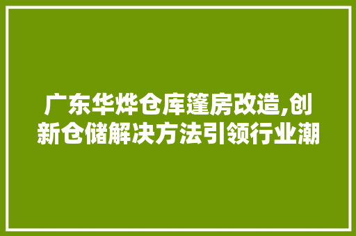 广东华烨仓库篷房改造,创新仓储解决方法引领行业潮流