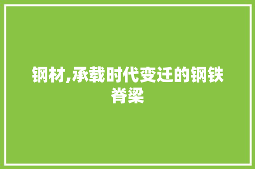 钢材,承载时代变迁的钢铁脊梁