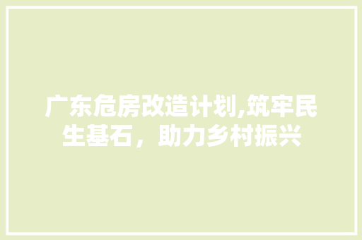 广东危房改造计划,筑牢民生基石，助力乡村振兴