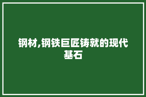 钢材,钢铁巨匠铸就的现代基石