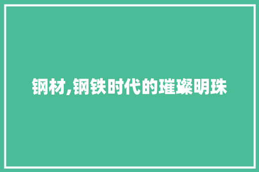 钢材,钢铁时代的璀璨明珠