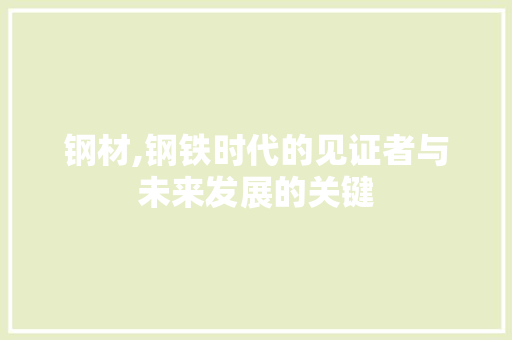 钢材,钢铁时代的见证者与未来发展的关键