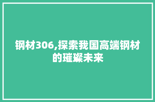 钢材306,探索我国高端钢材的璀璨未来
