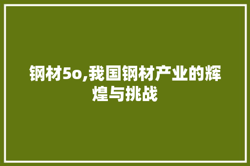 钢材5o,我国钢材产业的辉煌与挑战