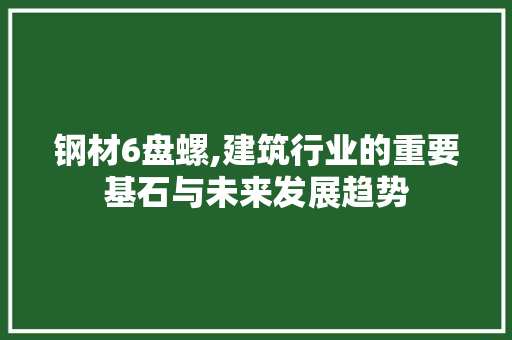 钢材6盘螺,建筑行业的重要基石与未来发展趋势