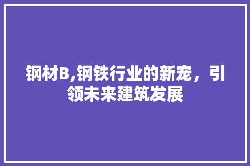 钢材B,钢铁行业的新宠，引领未来建筑发展