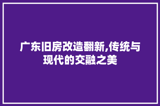 广东旧房改造翻新,传统与现代的交融之美