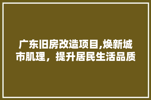 广东旧房改造项目,焕新城市肌理，提升居民生活品质