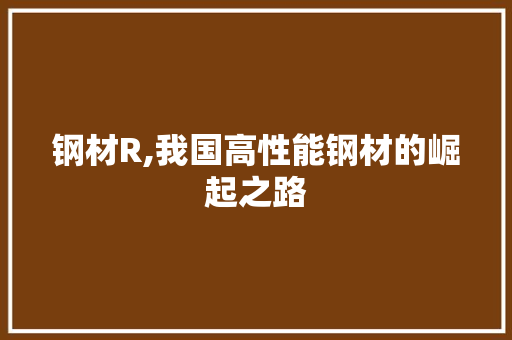 钢材R,我国高性能钢材的崛起之路