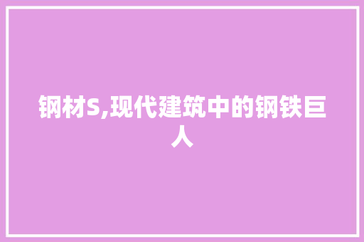 钢材S,现代建筑中的钢铁巨人