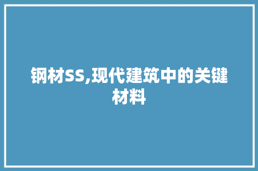 钢材SS,现代建筑中的关键材料