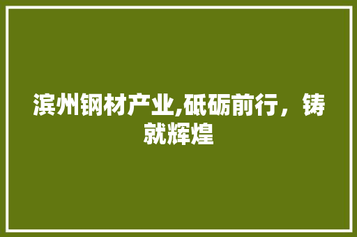 滨州钢材产业,砥砺前行，铸就辉煌