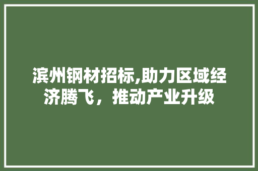 滨州钢材招标,助力区域经济腾飞，推动产业升级