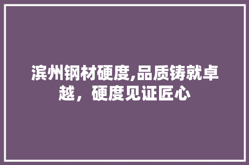 滨州钢材硬度,品质铸就卓越，硬度见证匠心