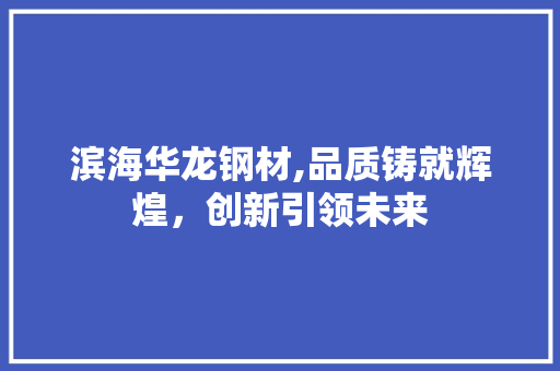 滨海华龙钢材,品质铸就辉煌，创新引领未来