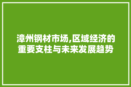 漳州钢材市场,区域经济的重要支柱与未来发展趋势
