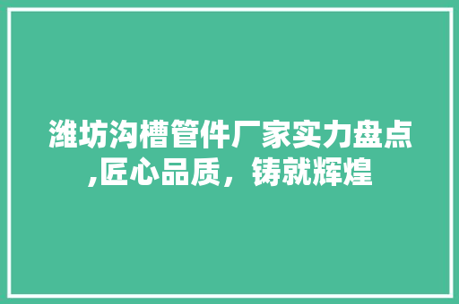 潍坊沟槽管件厂家实力盘点,匠心品质，铸就辉煌