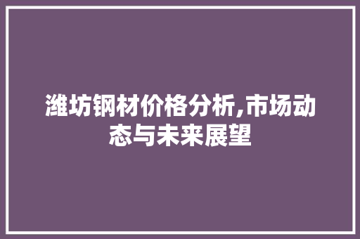 潍坊钢材价格分析,市场动态与未来展望